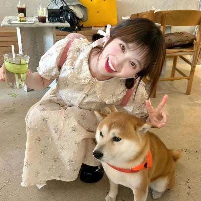 甜蜜计划