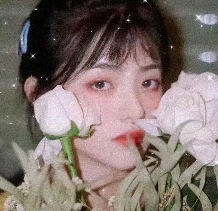 鼩鼱的巢穴