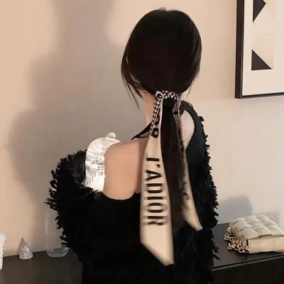 案中案
